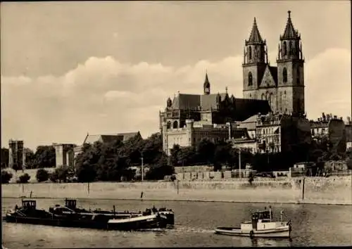 Ak Magdeburg an der Elbe, Dom, Schlepper mit Lastkähnen, Schleppzug