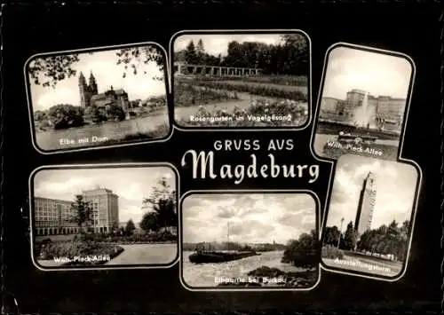 Ak Magdeburg an der Elbe, Dom, Rosengarten im Vogelsang, Ausstellungsturm, Wilhelm-Pieck-Allee