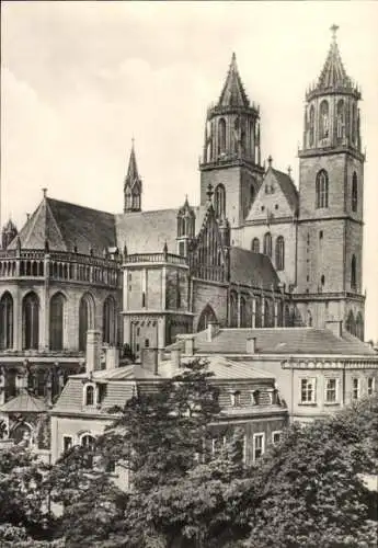 Ak Magdeburg an der Elbe, Dom
