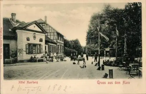 Ak Stolberg im Harz, Hotel Auerberg