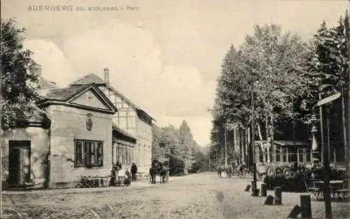 Ak Auerberg Stolberg im Harz, Gasthaus, Straßenpartie