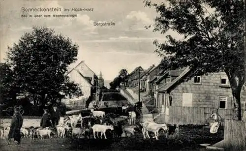 Ak Benneckenstein Oberharz, Bergstraße