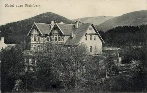 Ak Hasserode Wernigerode im Harz, Hotel zum Steinberg