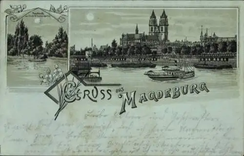 Mondschein Litho Magdeburg, Dom von der Elbe aus, Friedrich Wilhelms Garten, Inselteich