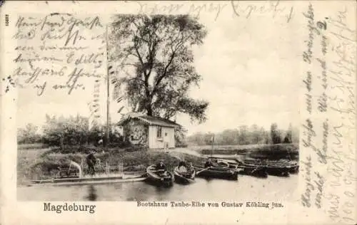 Ak Magdeburg an der Elbe, Bootshaus Taube Elbe von Gustav Köhling junior