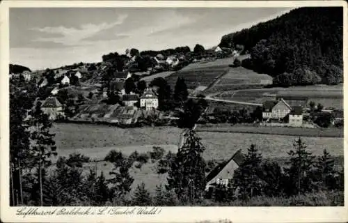 Ak Berlebeck Detmold im Teutoburger Wald, Teilansicht