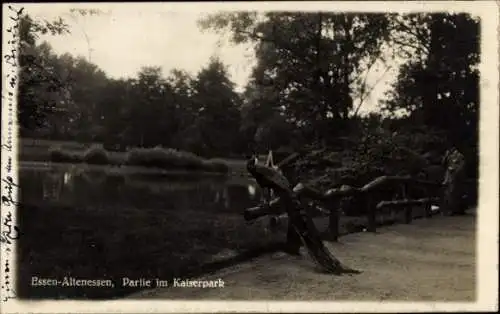 Ak Altenessen Essen im Ruhrgebiet, Kaiserpark