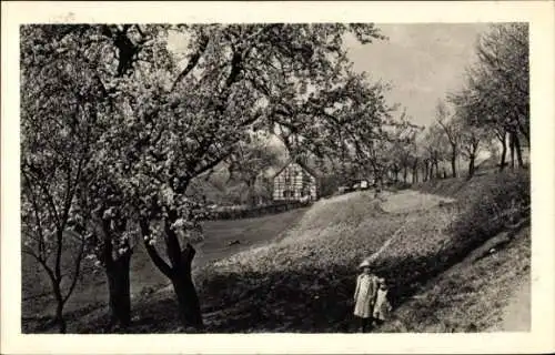 Ak Essen im Ruhrgebiet, Baumblüte, Mühlbachtal