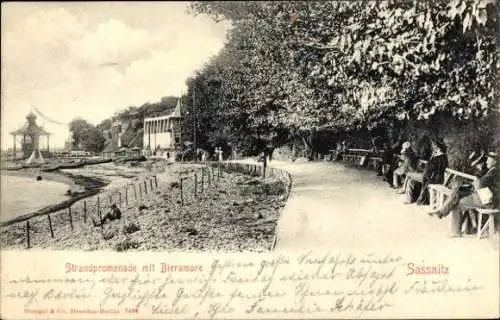 Ak Sassnitz Insel Rügen, Strandpromenade, Bieramare