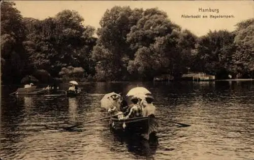 Ak Hamburg Eimsbüttel Harvestehude, Alsterbucht am Hagedornpark, Ruderboot, Frauen