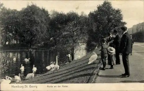 Ak Hamburg Mitte St. Georg, an der Alster, Schwäne