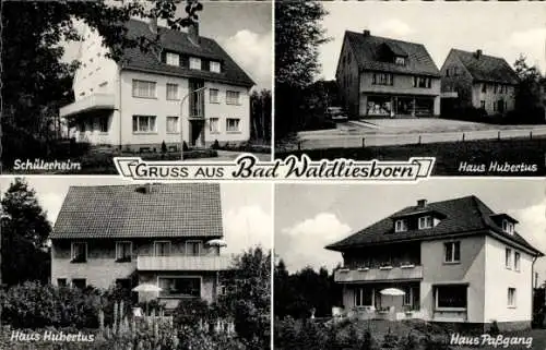 Ak Bad Waldliesborn Lippstadt Münsterland, Schülerheim, Haus Hubertus, Haus Paßgang