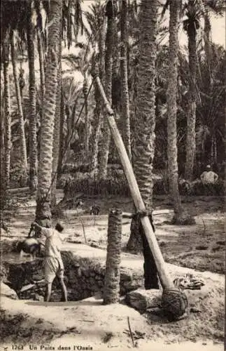 Ak Maghreb, Araber schöpft Wasser, Brunnen, Palmen