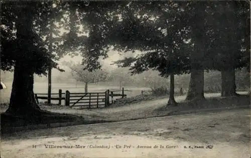 Ak Villers sur Mer Calvados, Un Pre, Avenue de la Gare