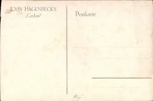 Ak John Hagenbeck's Ceylon, Völkerschau, Elefanten