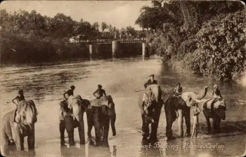 Ak Kandy Ceylon Sri Lanka, Elefanten im Fluss