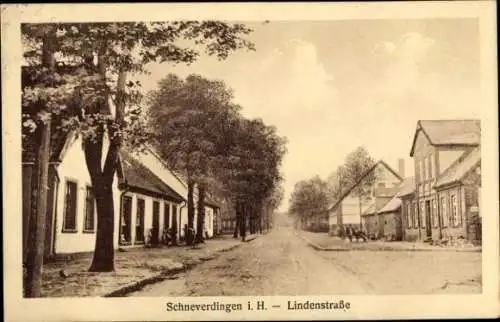 Ak Schneverdingen in der Lüneburger Heide, Lindenstraße