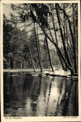 Ak Olsztyn Allenstein Ostpreußen, Alle, Wald