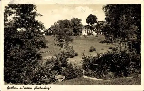 Ak Bischenberg Sasbachwalden im Schwarzwald, Gasthaus und Pension Bischenberg