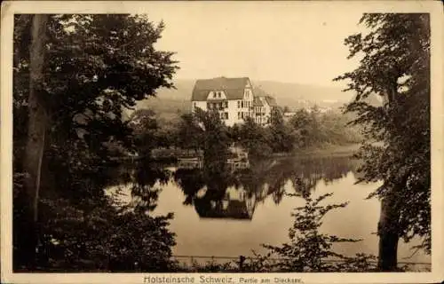 Ak Gremsmühlen Malente in Ostholstein, Diecksee