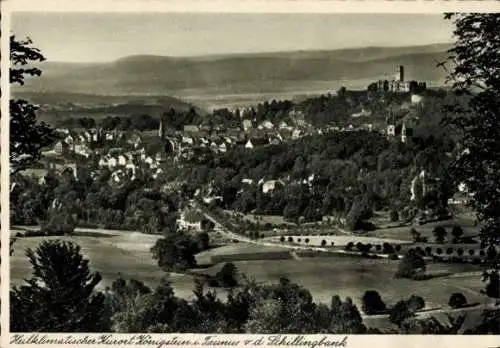 Ak Königstein im Taunus Hessen, Gesamtansicht von der Schillingbank