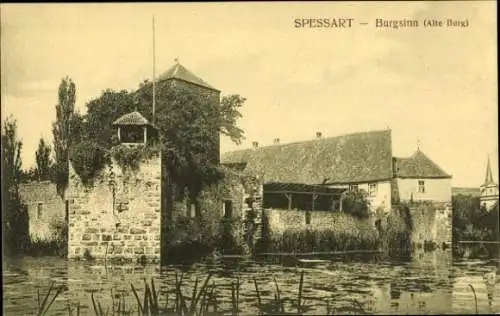 Ak Spessart, Blick auf die alte Burg, Burgsinn, Teich, Seerosen, Mauerwerk