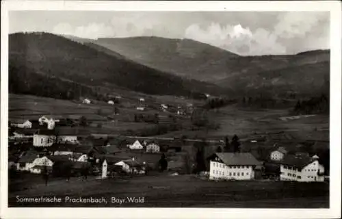 Ak Prackenbach in Niederbayern, Panorama