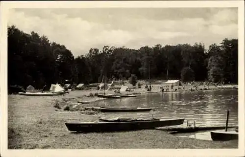 Ak Altenhof Schorfheide am Werbellinsee, Teilansicht, Boote