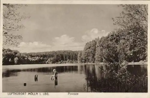 Ak Mölln im Herzogtum Lauenburg, Pinnsee