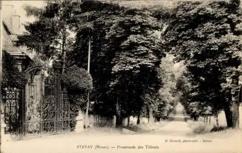 Ak Stenay Lorraine Meuse, Promenade des Tilleuls