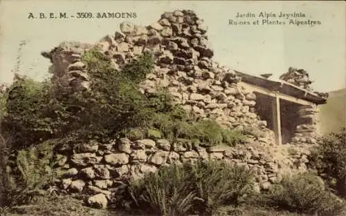 Ak Samoëns Haute Savoie, Jardin Alpin Jaysinia, Ruines, Plantes Alpestres