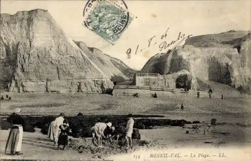 Ak Mesnil Val Seine Maritime, Strand, Klippen