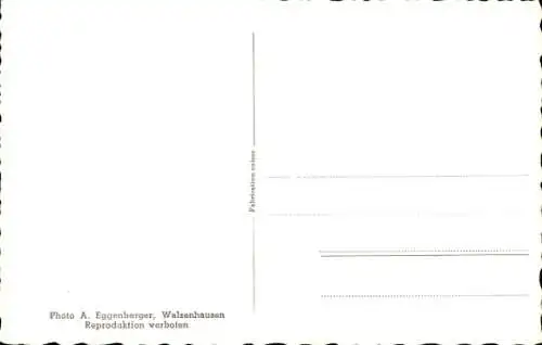 Ak Walzenhausen Kanton Appenzell Ausserrhoden Schweiz, Gesamtansicht