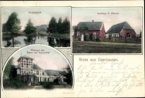 Ak Doenhausen Eystrup in Niedersachsen, Rittergut Baron von Kronenfeld, Gasthaus K. Wilkens, Teich