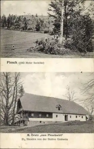 Ak Plesch Gratwein Straßengel Steiermark, Gasthaus zum Pleschwirt