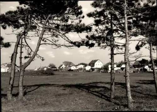 Ak Neuendorf auf der Insel Hiddensee, Siedlung, Häuser, Bäume