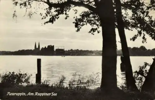 Ak Neuruppin in Brandenburg, Ruppiner See, Panorama, Kirchtürme