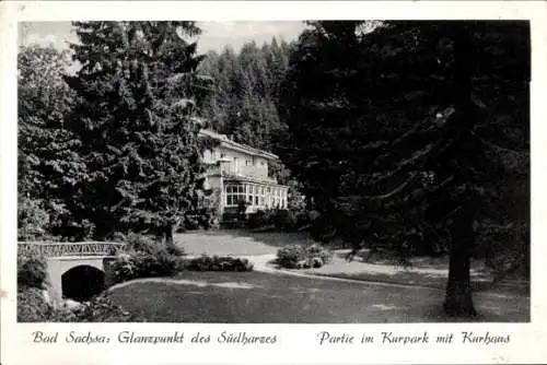 Ak Bad Sachsa im Harz, Kurpark, Kurhaus