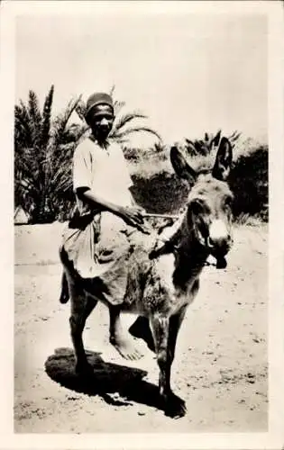 Ak Maghreb, Kind auf Esel reitend, Palmen