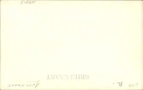 Foto Ak Störche, Nest, Jungtiere