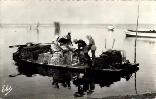 Ak Arcachon Gironde, beim Austern fischen