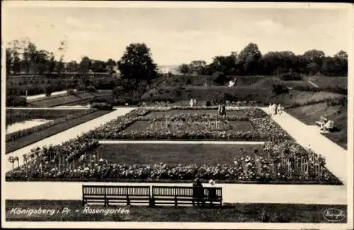 Ak Kaliningrad Königsberg Ostpreußen, Rosengarten