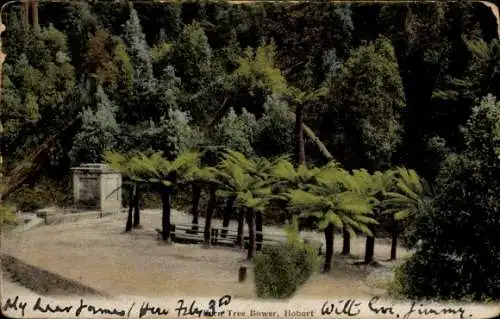 Ak Hobart Tasmanien Australien, Tree Bower