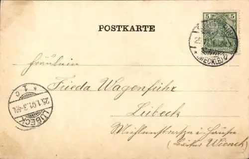 Ak Schwerin in Mecklenburg, Gewächshaus