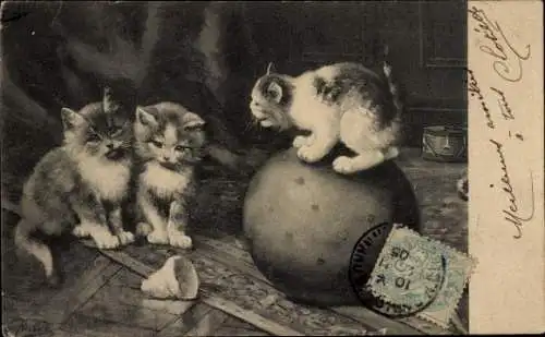 Künstler Litho Huber, E., Spielende Katzen, Ball, Trommel