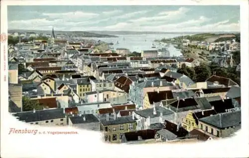 Litho Flensburg in Schleswig Holstein, Stadt aus der Vogelschau