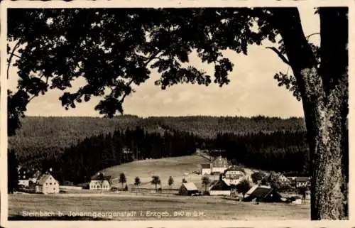 Ak Steinbach Johanngeorgenstadt Erzgebirge, Teilansicht