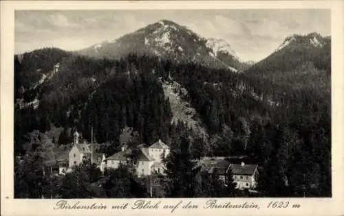 Ak Birkenstein Fischbachau in Oberbayern, Teilansicht, Breitenstein