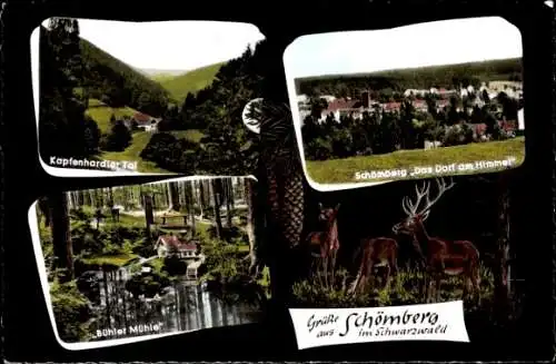 Ak Schömberg im Schwarzwald Württemberg, Rotwild, Kapfenhardter Tal, Bühler Mühle