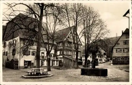 Ak Alpirsbach im Schwarzwald, Klosterbrunnen, altes Schloss